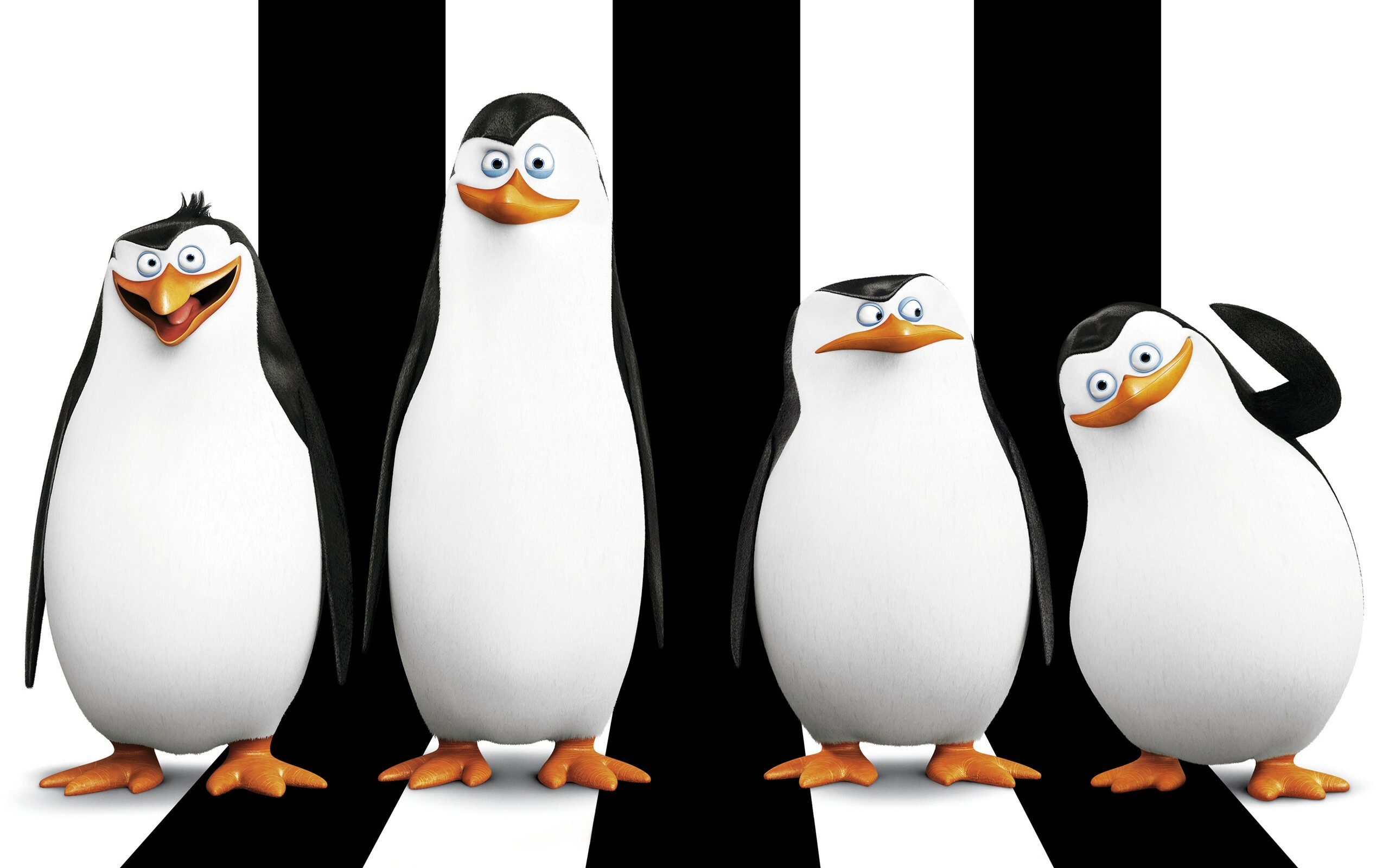 Penguins of Madagascar, Skipper Kowalski Rico Private, Black white stripes Penguins of Madagascar, Skipper Kowalski Rico Private, Black white stripes — 2560×1600 HD wallpaper