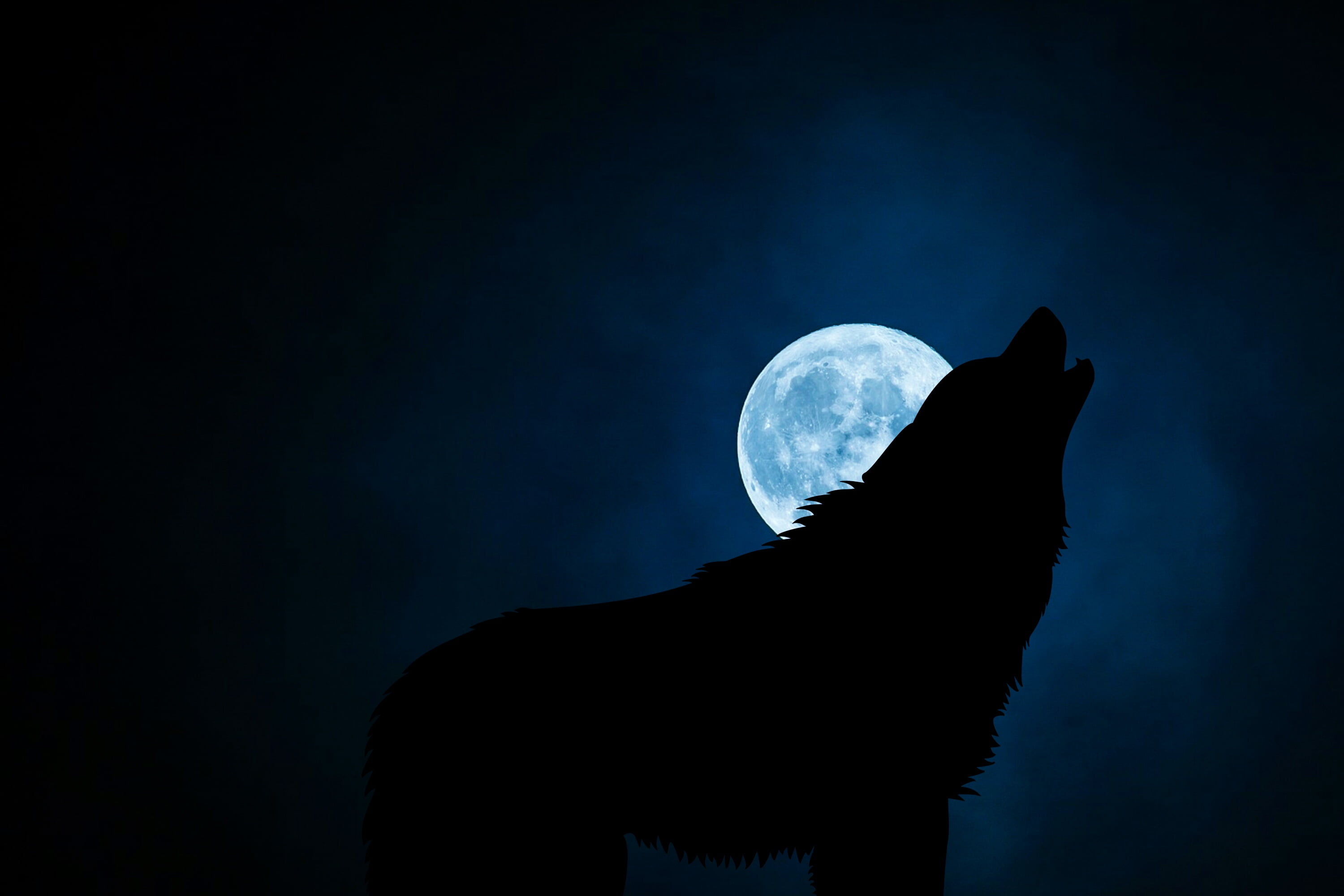 Howling wolf silhouette, Full moon, Dark misty night sky Howling wolf silhouette, Full moon, Dark misty night sky — 3000×2000 HD wallpaper