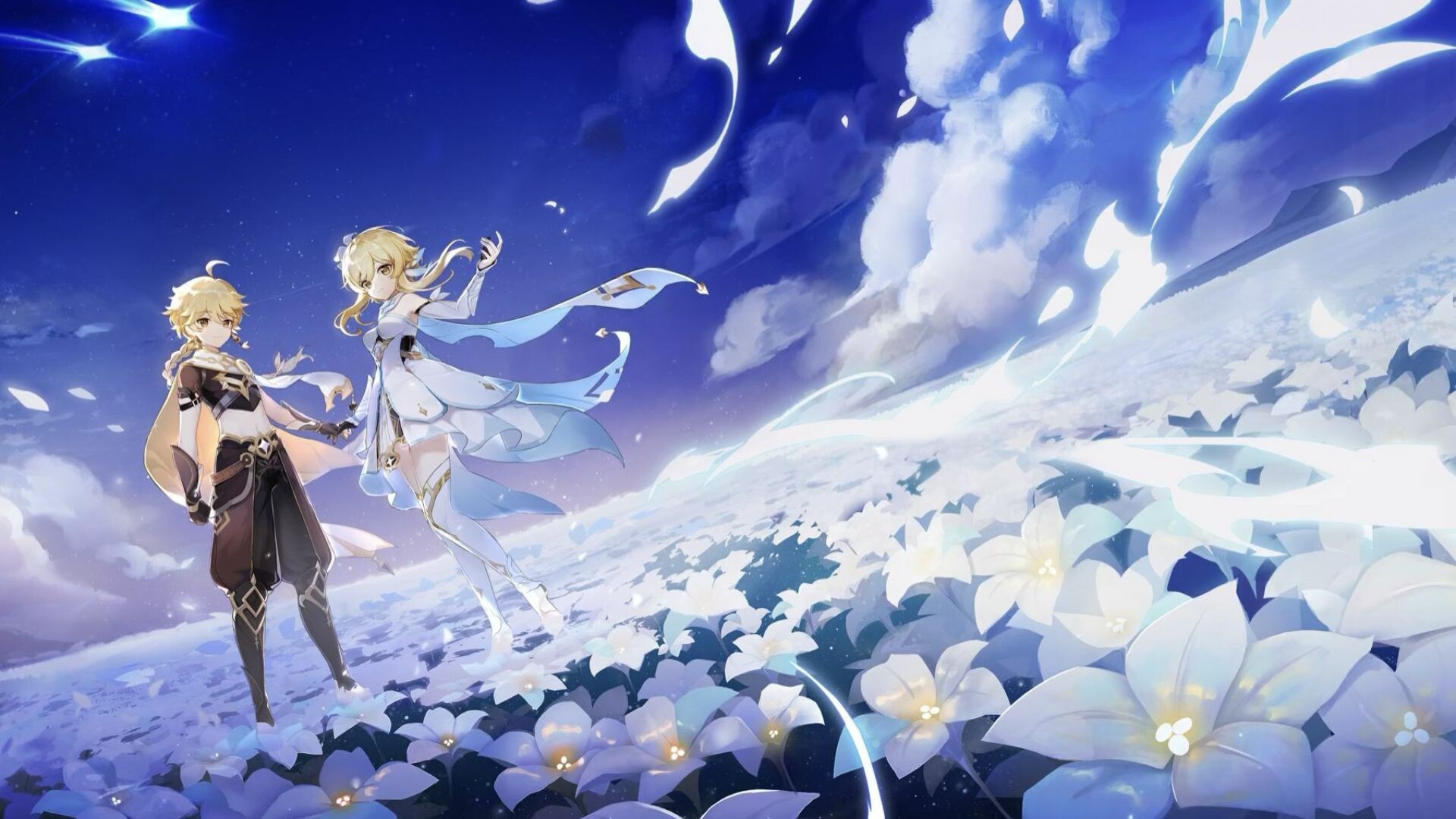 Aether and Lumine, White flower field, Starry night sky Aether and Lumine, White flower field, Starry night sky — 1920×1080 HD wallpaper