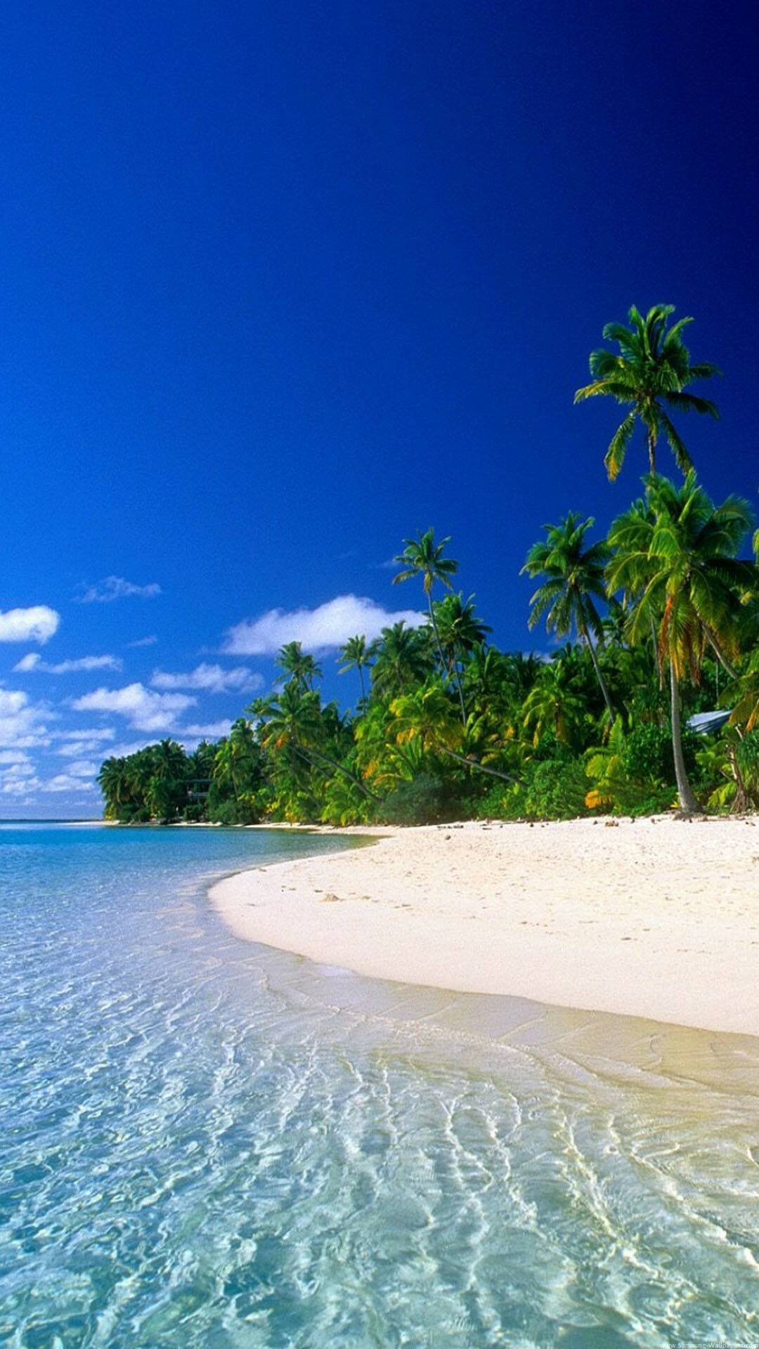 Tropical palm trees, White sand beach, Clear turquoise lagoon Tropical palm trees, White sand beach, Clear turquoise lagoon — 1080×1920 HD wallpaper