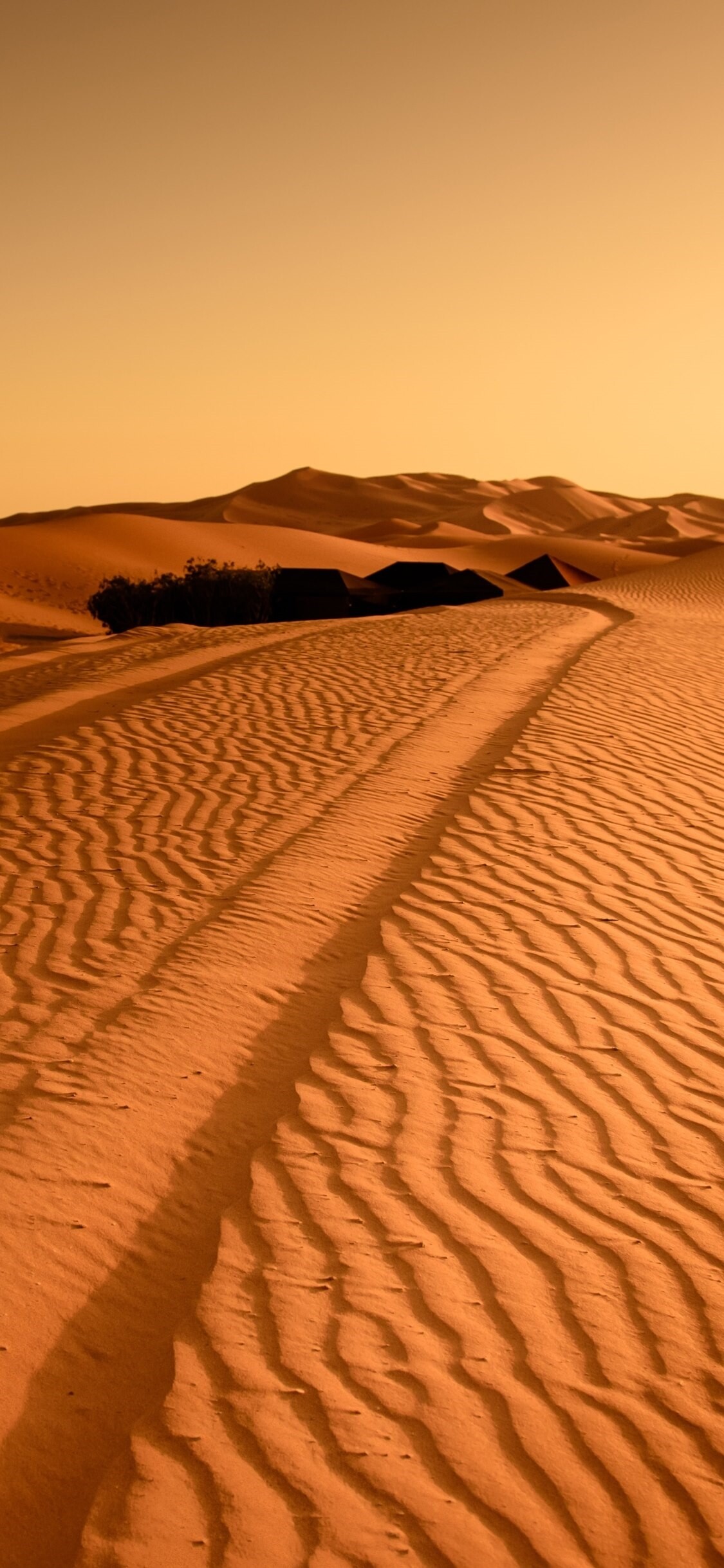 Sahara sand dunes, Tire tracks, Bedouin desert camp Sahara sand dunes, Tire tracks, Bedouin desert camp — 1125×2438 HD wallpaper