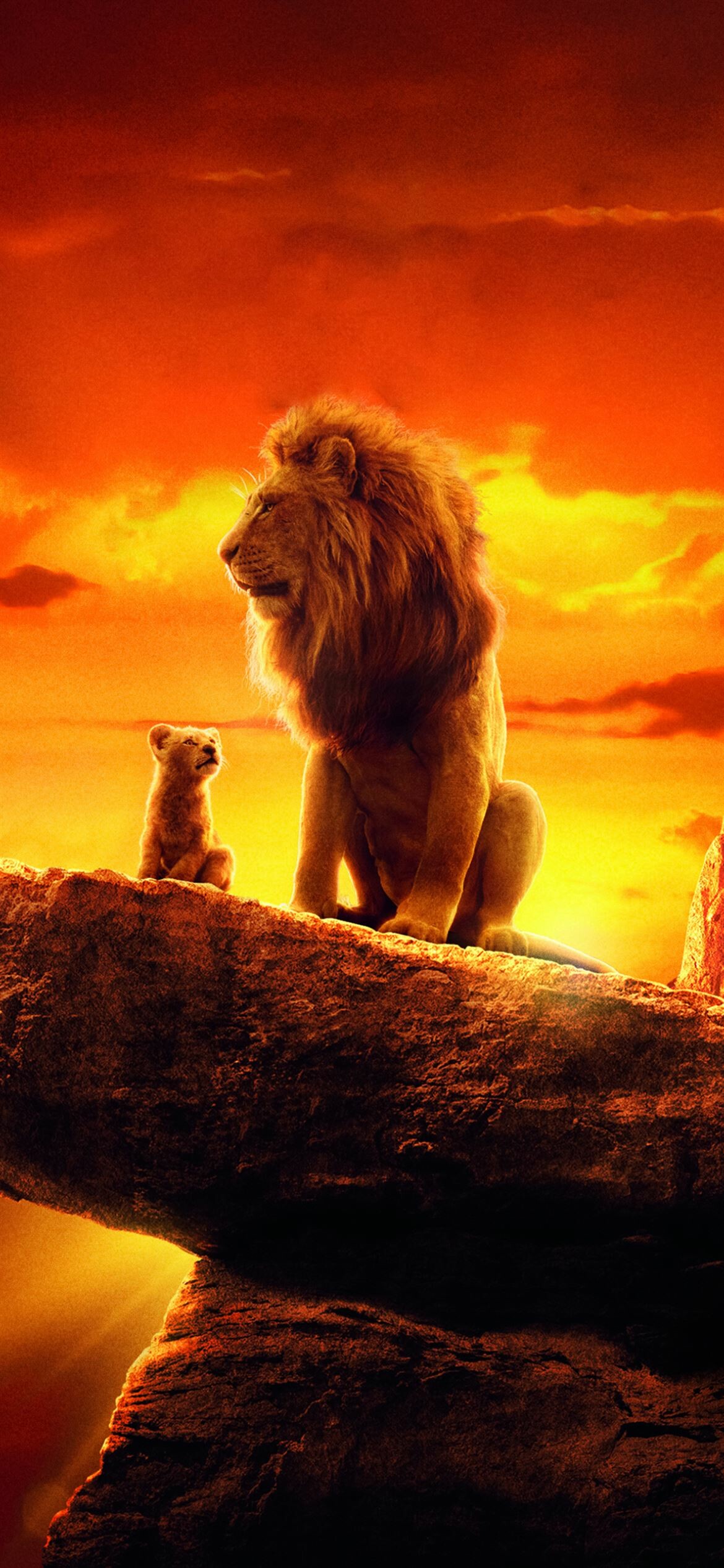 Simba and Mufasa, Lions Wallpaper, HD Phone Simba and Mufasa, Lions Wallpaper, HD Phone — 1170×2532 HD wallpaper