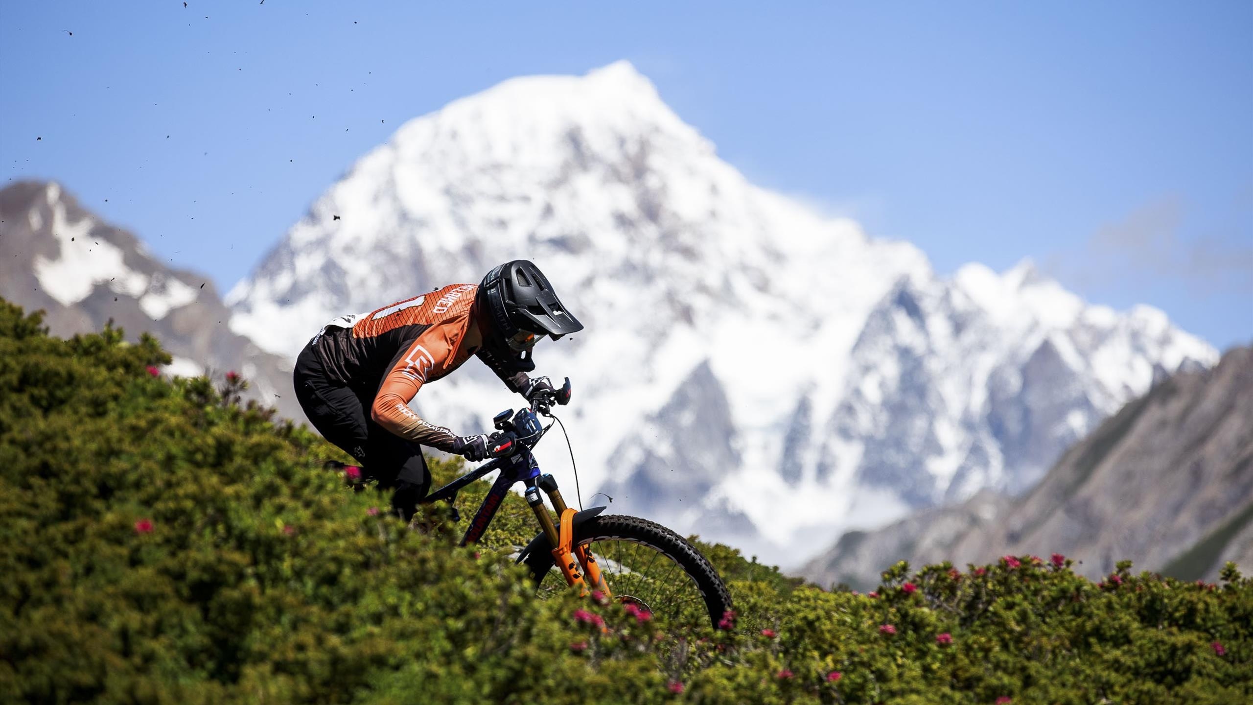 Downhill mountain biker, Snow-capped alpine peak, Alpine rhododendron shrubs Downhill mountain biker, Snow-capped alpine peak, Alpine rhododendron shrubs — 2560×1440 HD wallpaper