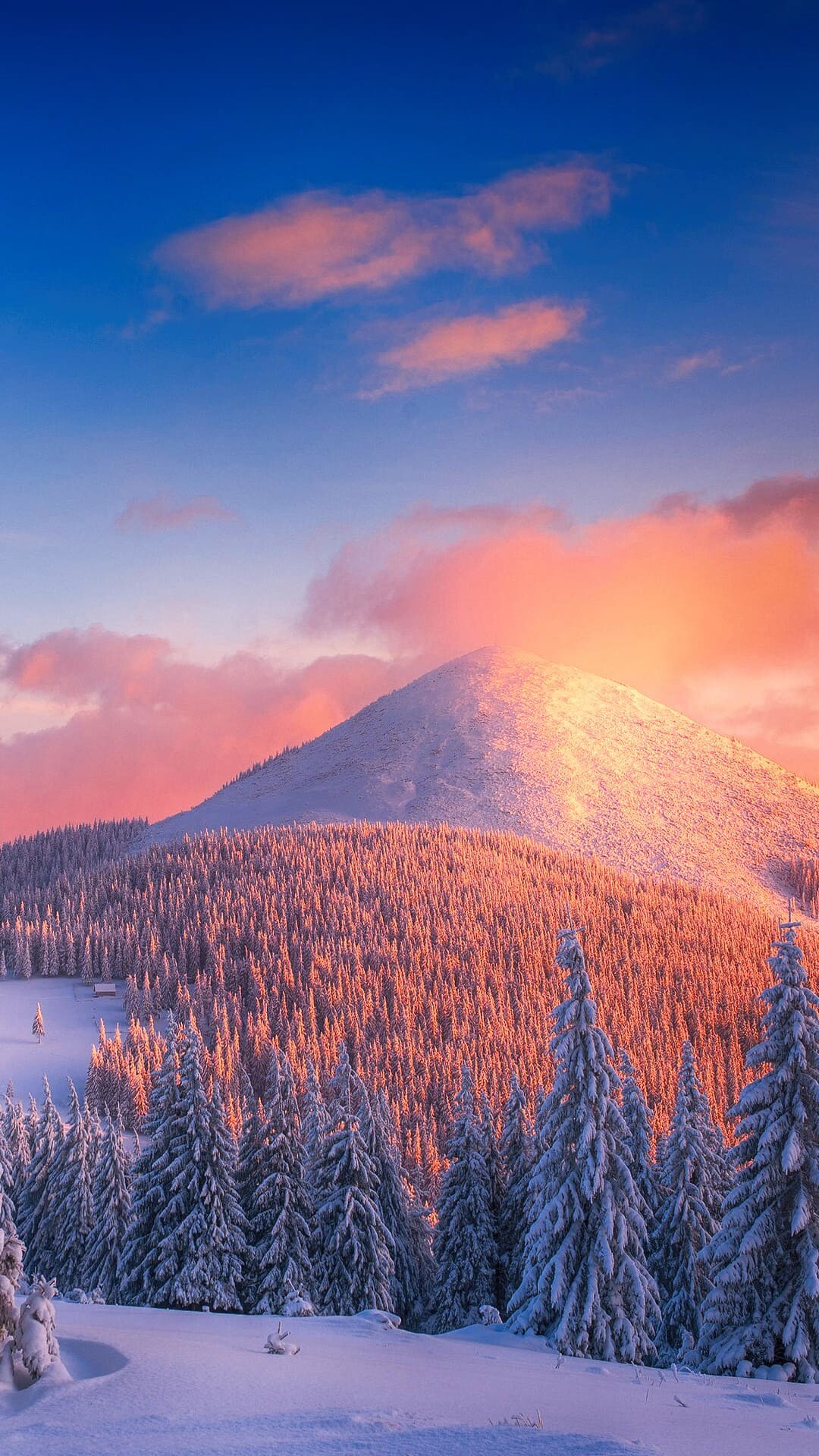 Snow-covered mountain peak, Snowy pine forest, Pink sunset clouds Snow-covered mountain peak, Snowy pine forest, Pink sunset clouds — 1080×1920 HD wallpaper