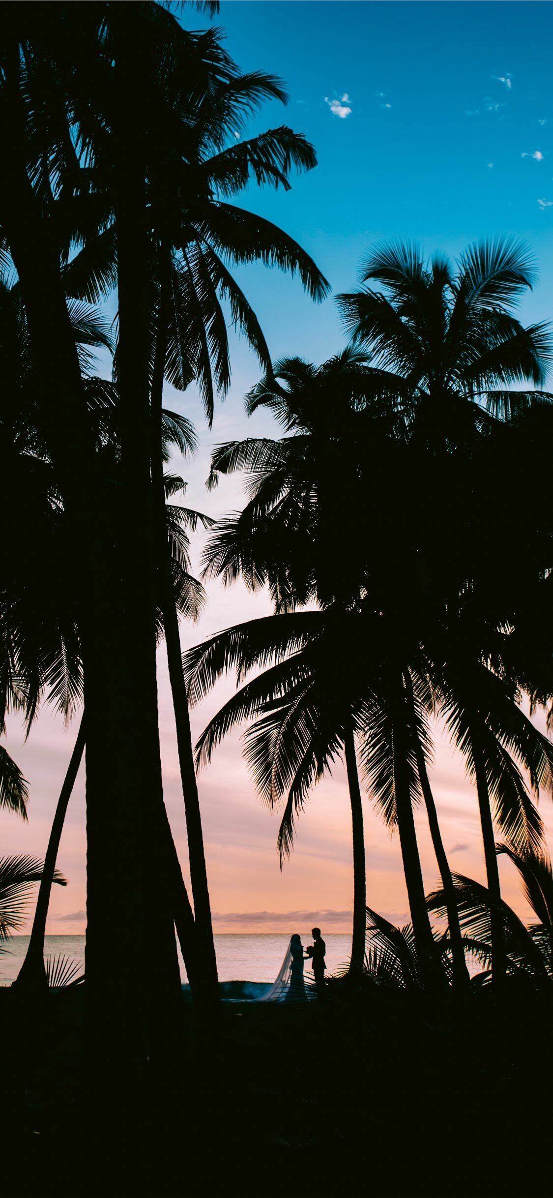 Silhouetted coconut palms, Wedding couple silhouette, Tropical sunset ocean Silhouetted coconut palms, Wedding couple silhouette, Tropical sunset ocean — 1125×2436 HD wallpaper