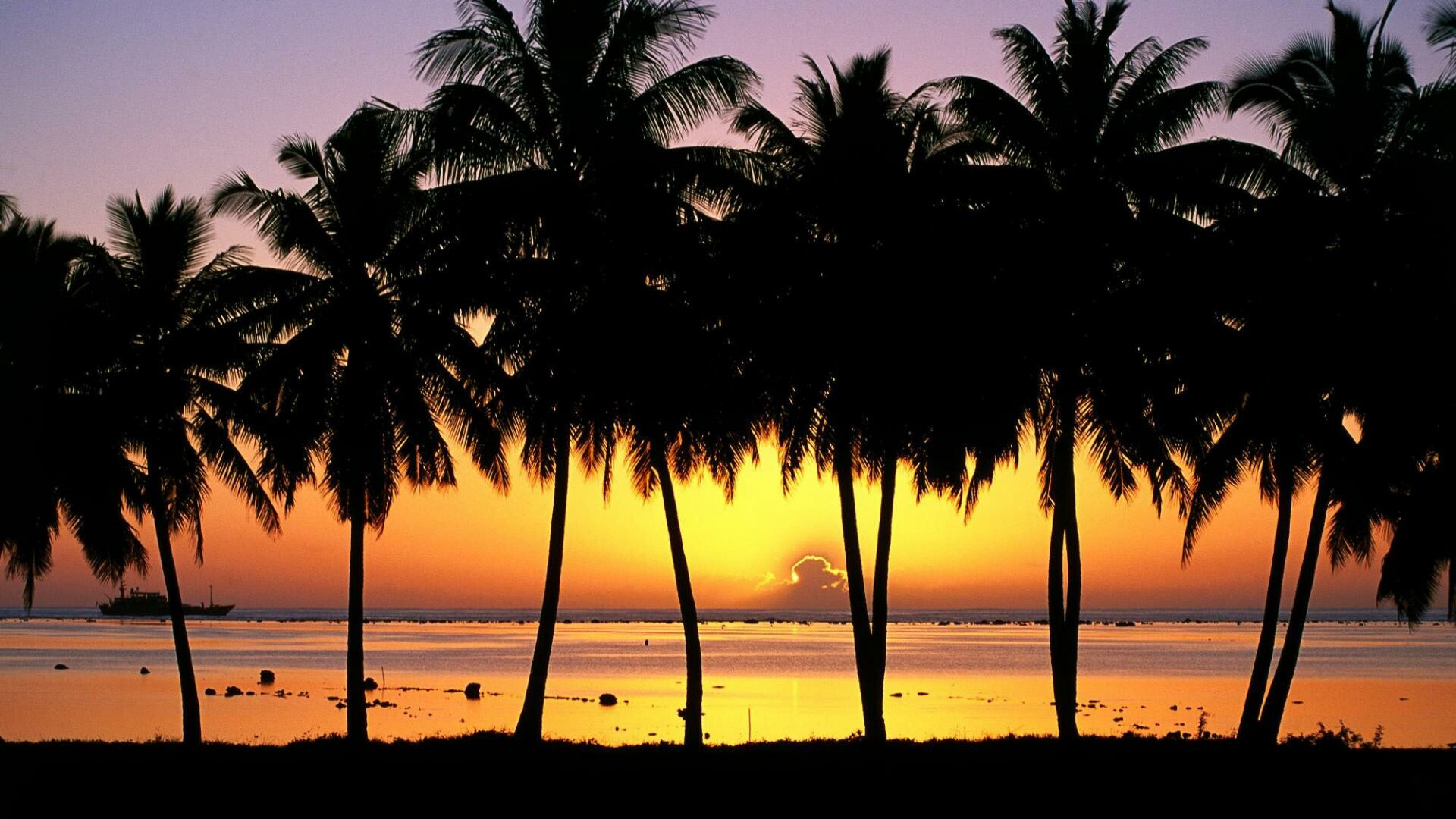 Silhouetted palm trees, Tropical beach sunset, Distant boat ocean horizon Silhouetted palm trees, Tropical beach sunset, Distant boat ocean horizon — 1920×1080 HD wallpaper