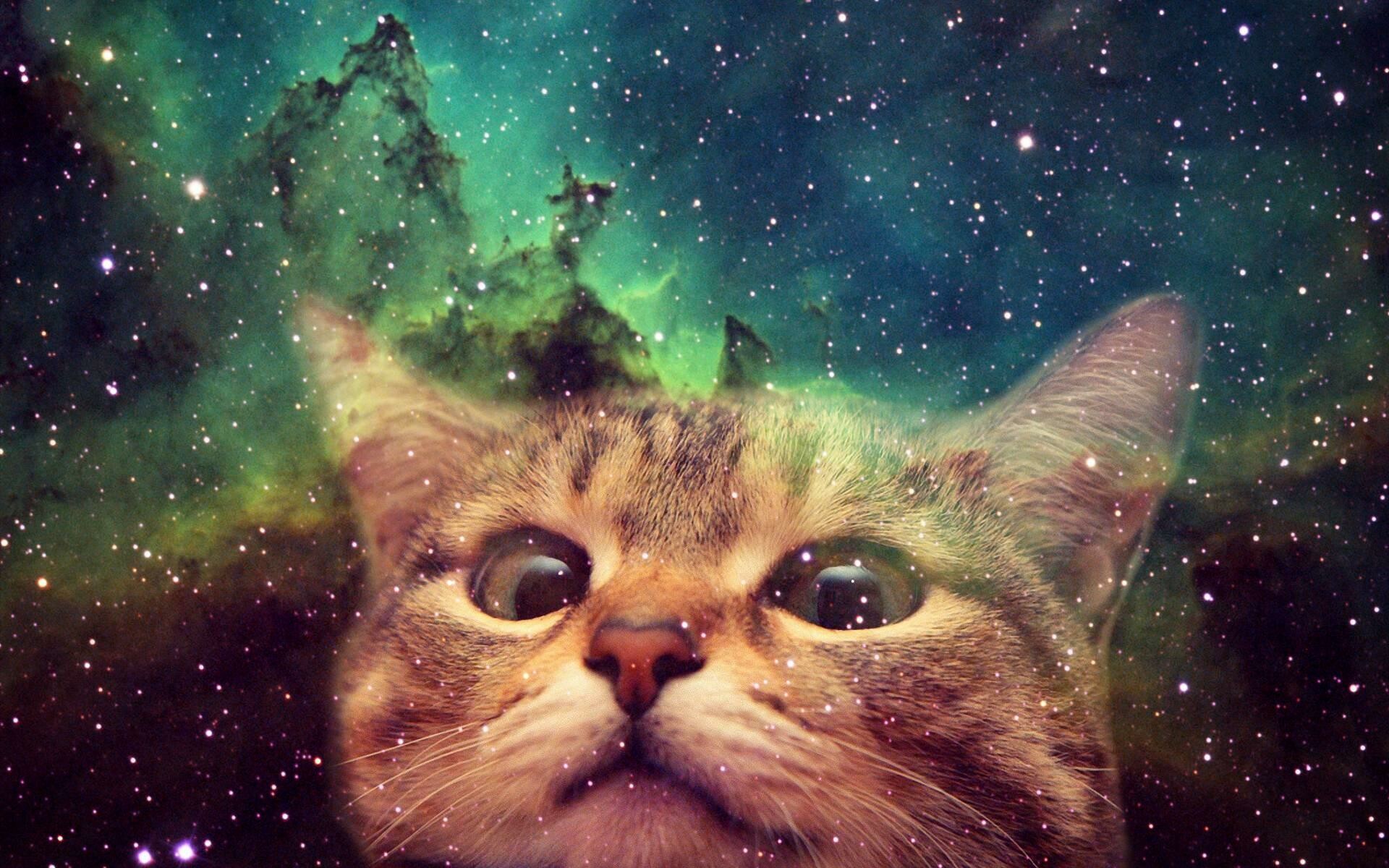 Tabby cat face, Green cosmic nebula, Starry space background Tabby cat face, Green cosmic nebula, Starry space background — 1920×1200 HD wallpaper