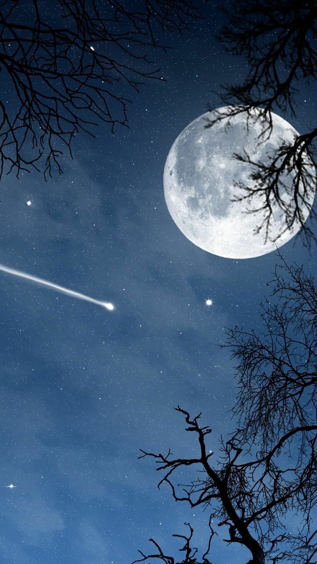 Full moon night, Bare tree branches, Shooting star comet, Blue starry sky Full moon night, Bare tree branches, Shooting star comet, Blue starry sky — 1080×1920 HD wallpaper