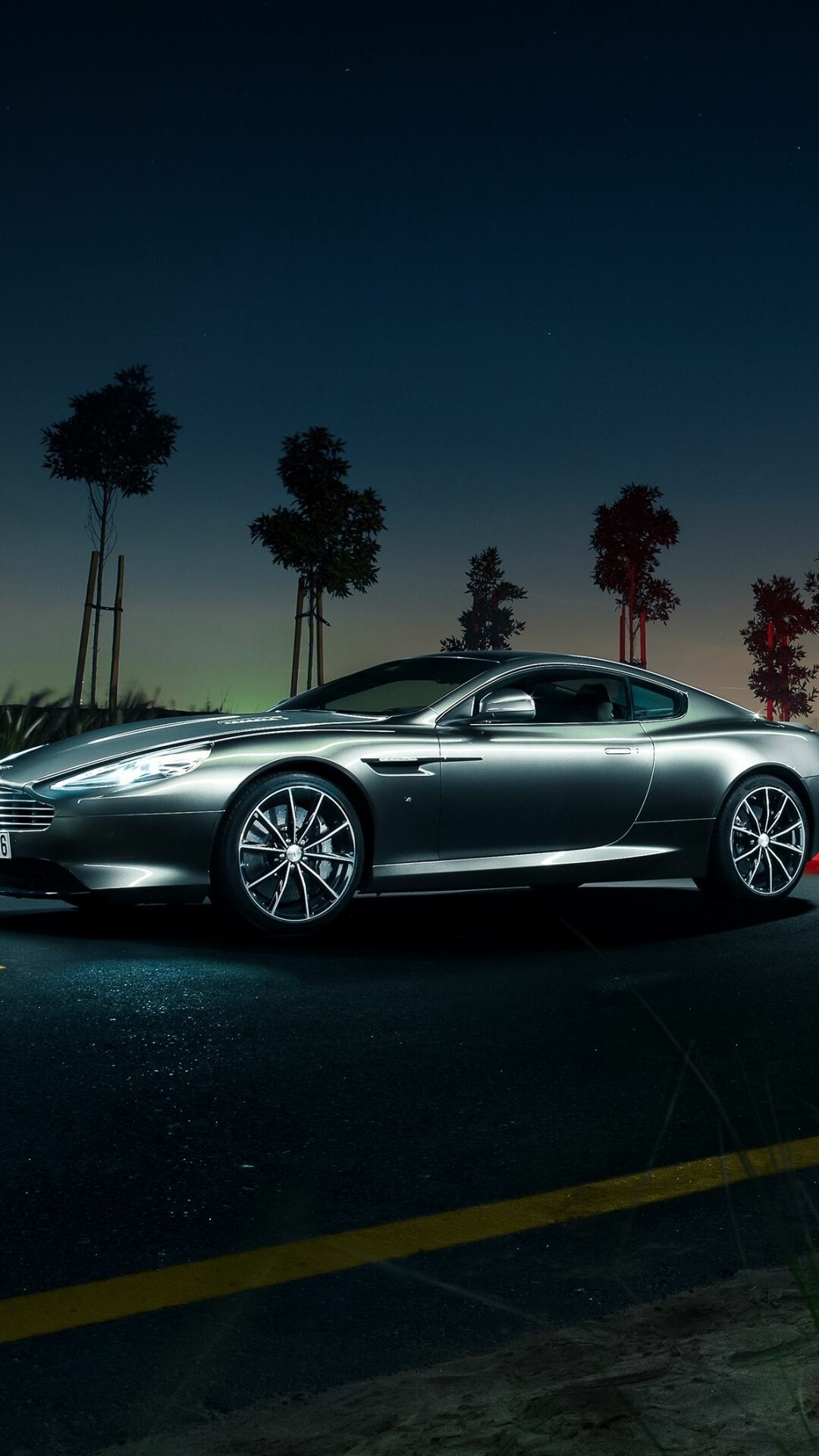 Aston Martin DB9, Silhouetted palm trees, Night parking lot Aston Martin DB9, Silhouetted palm trees, Night parking lot — 1080×1920 HD wallpaper