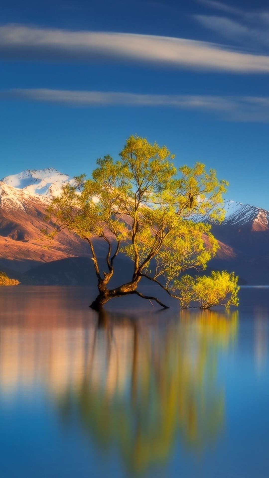 That Wanaka Tree, Lake Wanaka reflection, Snow-capped Southern Alps That Wanaka Tree, Lake Wanaka reflection, Snow-capped Southern Alps — 1080×1920 HD wallpaper
