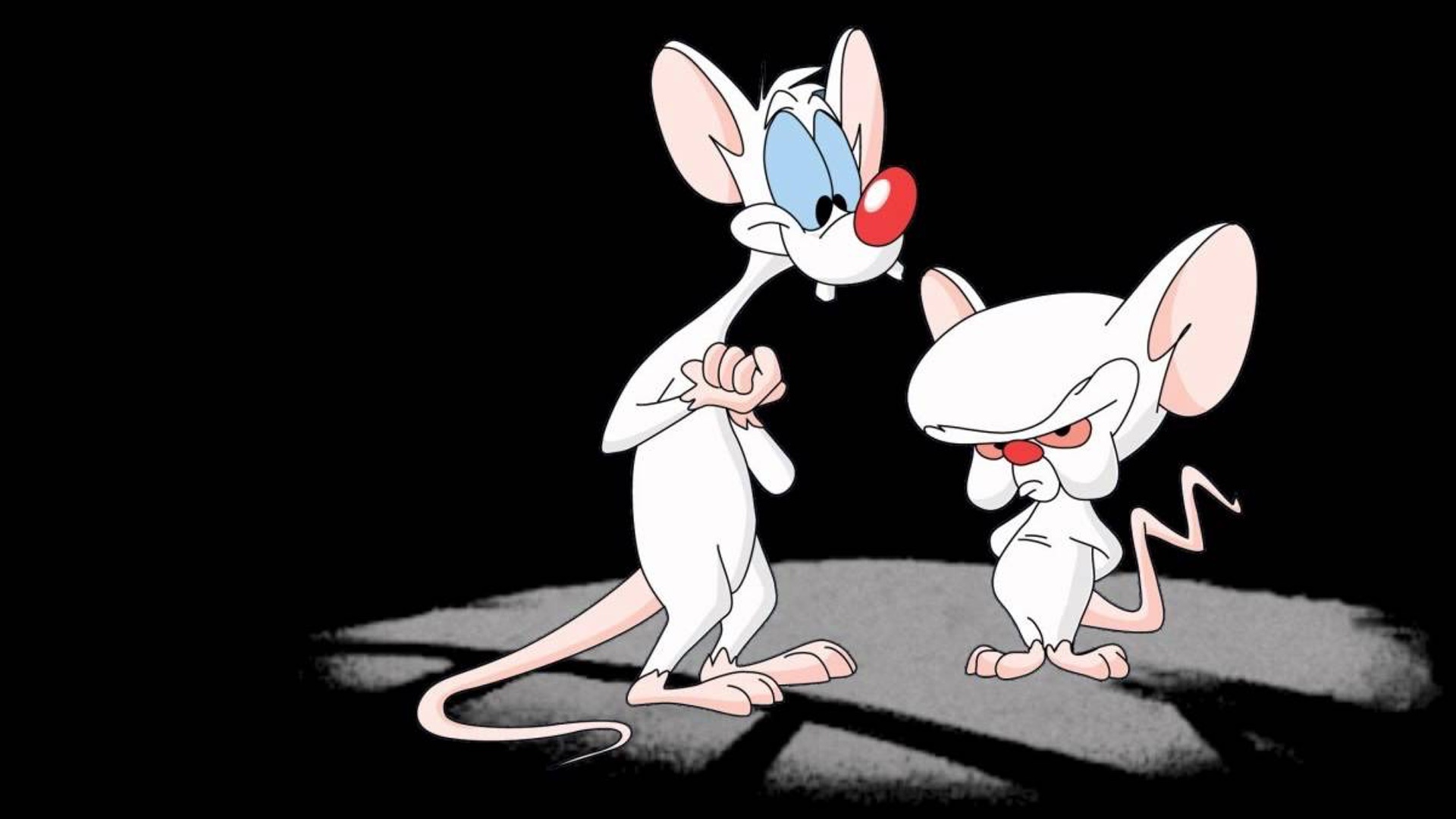 desktop 1080p pinky and the brain desktop 1080p pinky and the brain — 1920×1080 HD wallpaper