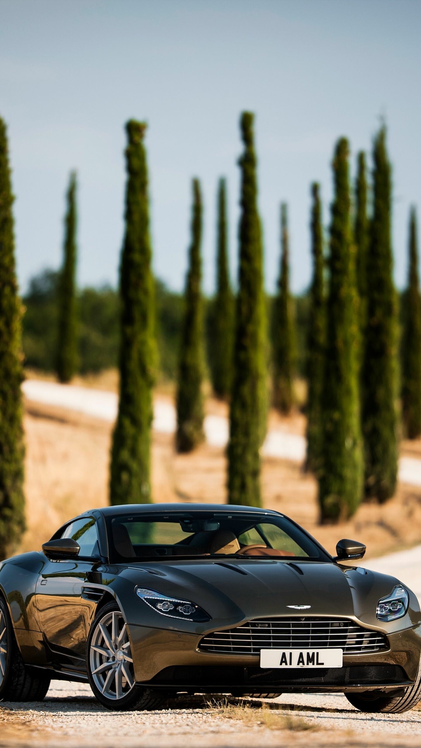 Aston Martin DB11, A1 AML plate, Tuscan cypress trees Aston Martin DB11, A1 AML plate, Tuscan cypress trees — 1440×2560 HD wallpaper