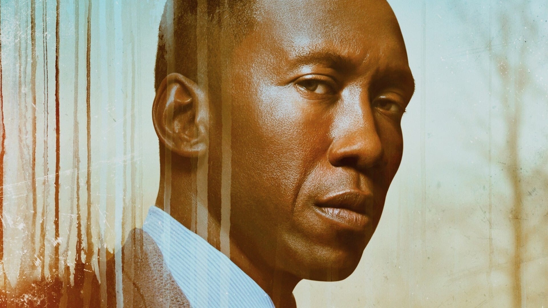 Mahershala Ali, Detective Wayne Hays, True Detective Season 3 Mahershala Ali, Detective Wayne Hays, True Detective Season 3 — 1920×1080 HD wallpaper