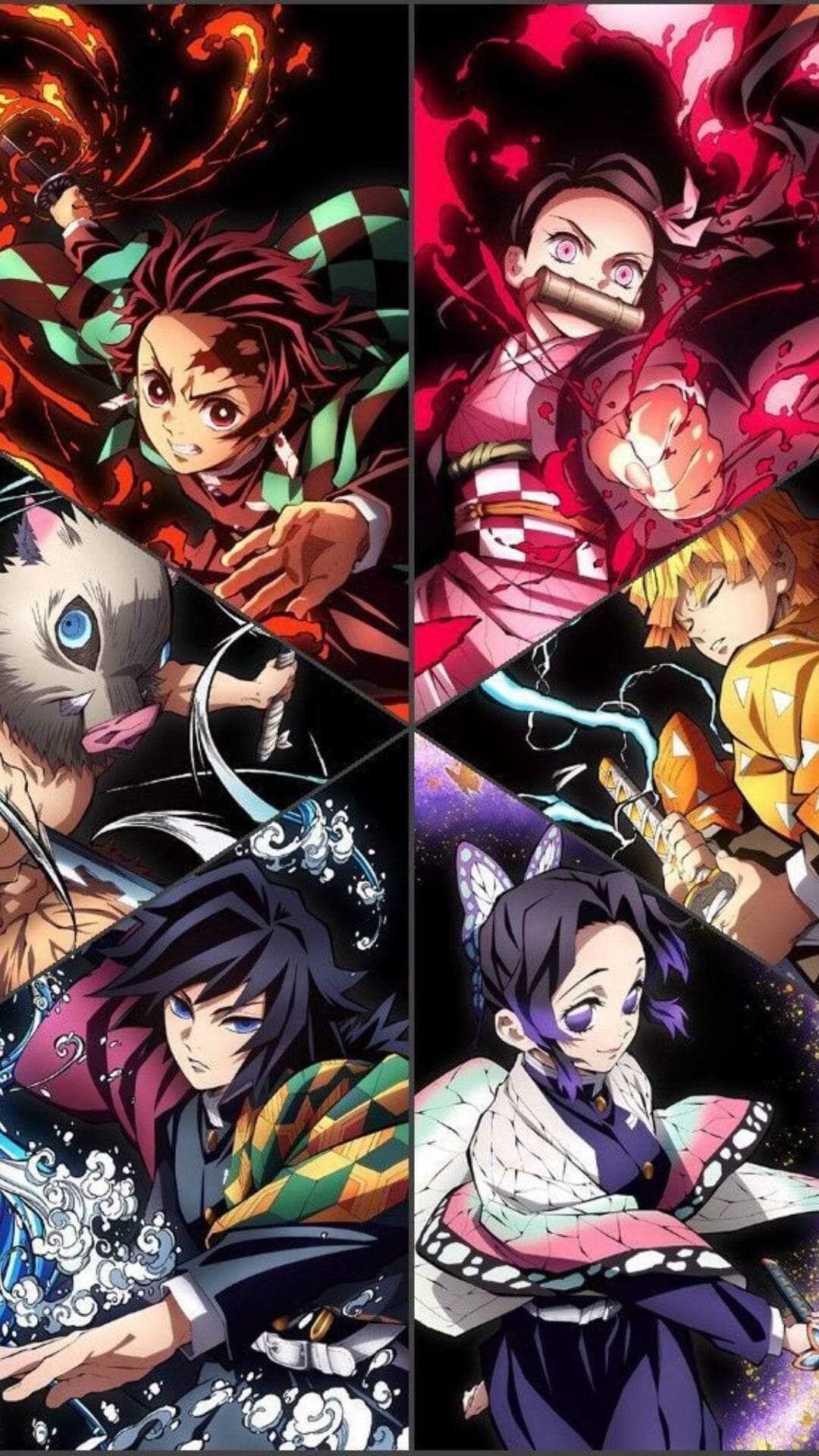 Tanjiro Kamado, Giyu Tomioka, Shinobu Kocho Tanjiro Kamado, Giyu Tomioka, Shinobu Kocho — 1080×1920 HD wallpaper