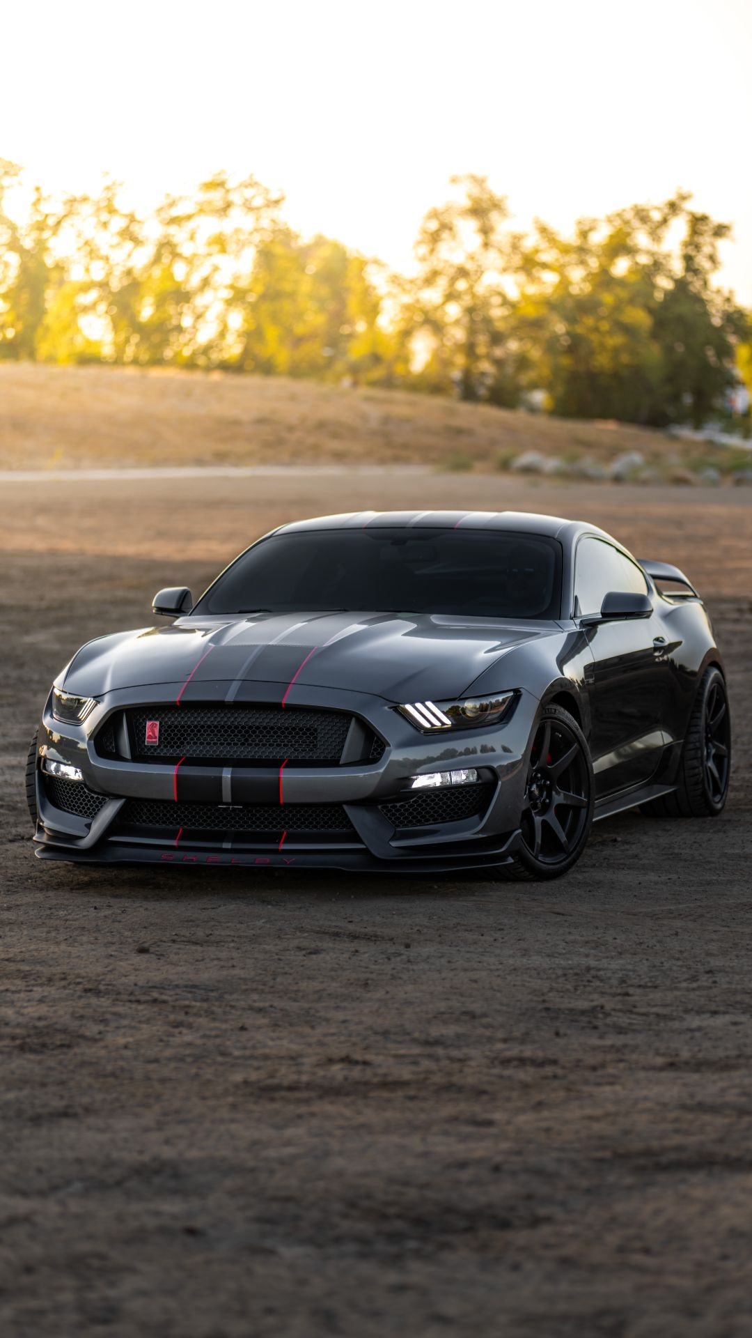 Gray Ford Shelby GT350R, Red-accented stripes, Dirt road sunset Gray Ford Shelby GT350R, Red-accented stripes, Dirt road sunset — 1080×1920 HD wallpaper