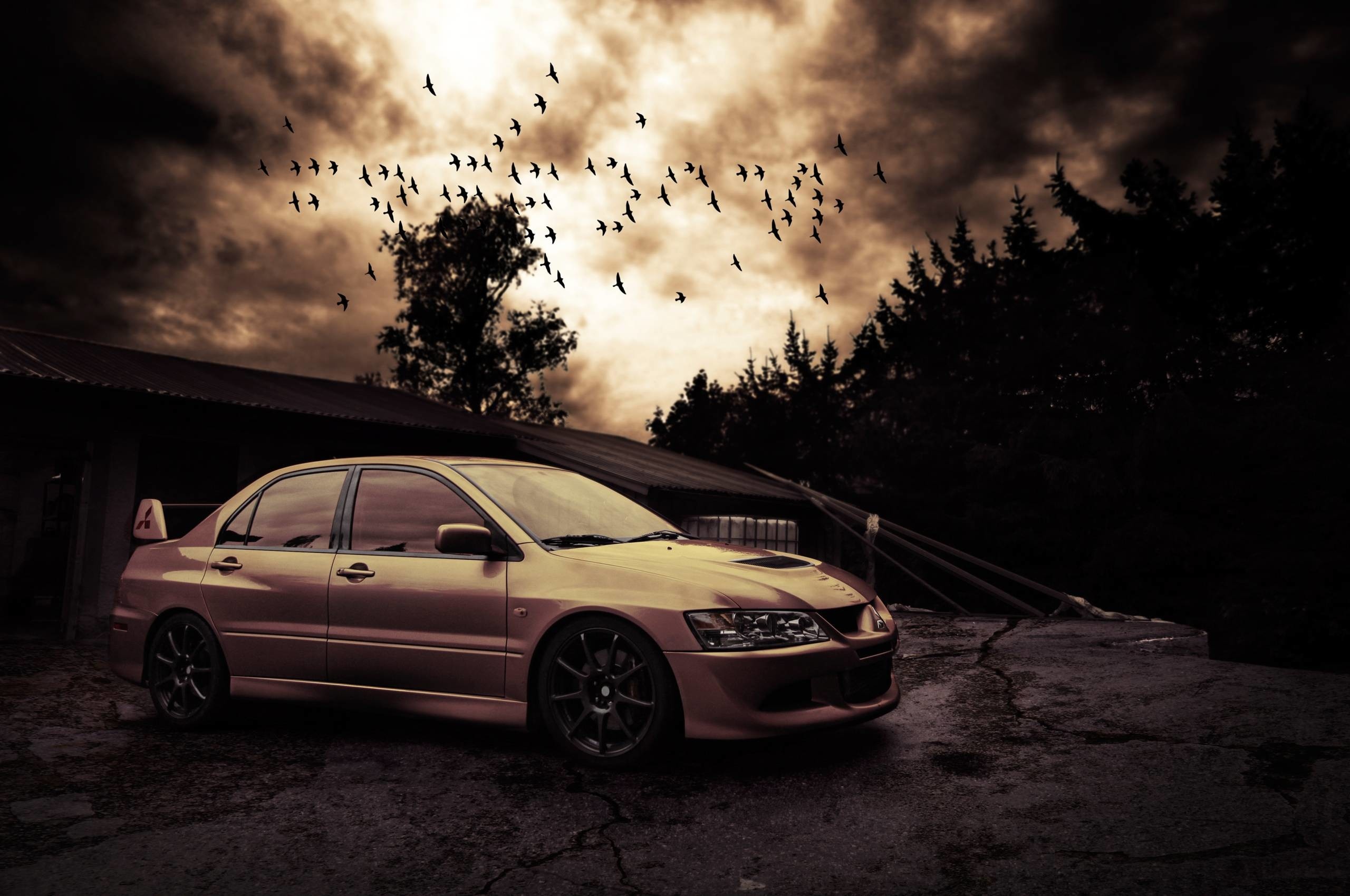 Mitsubishi Lancer Evo VIII, Birds flock stormy sky, Abandoned rural shed Mitsubishi Lancer Evo VIII, Birds flock stormy sky, Abandoned rural shed — 2560×1700 HD wallpaper