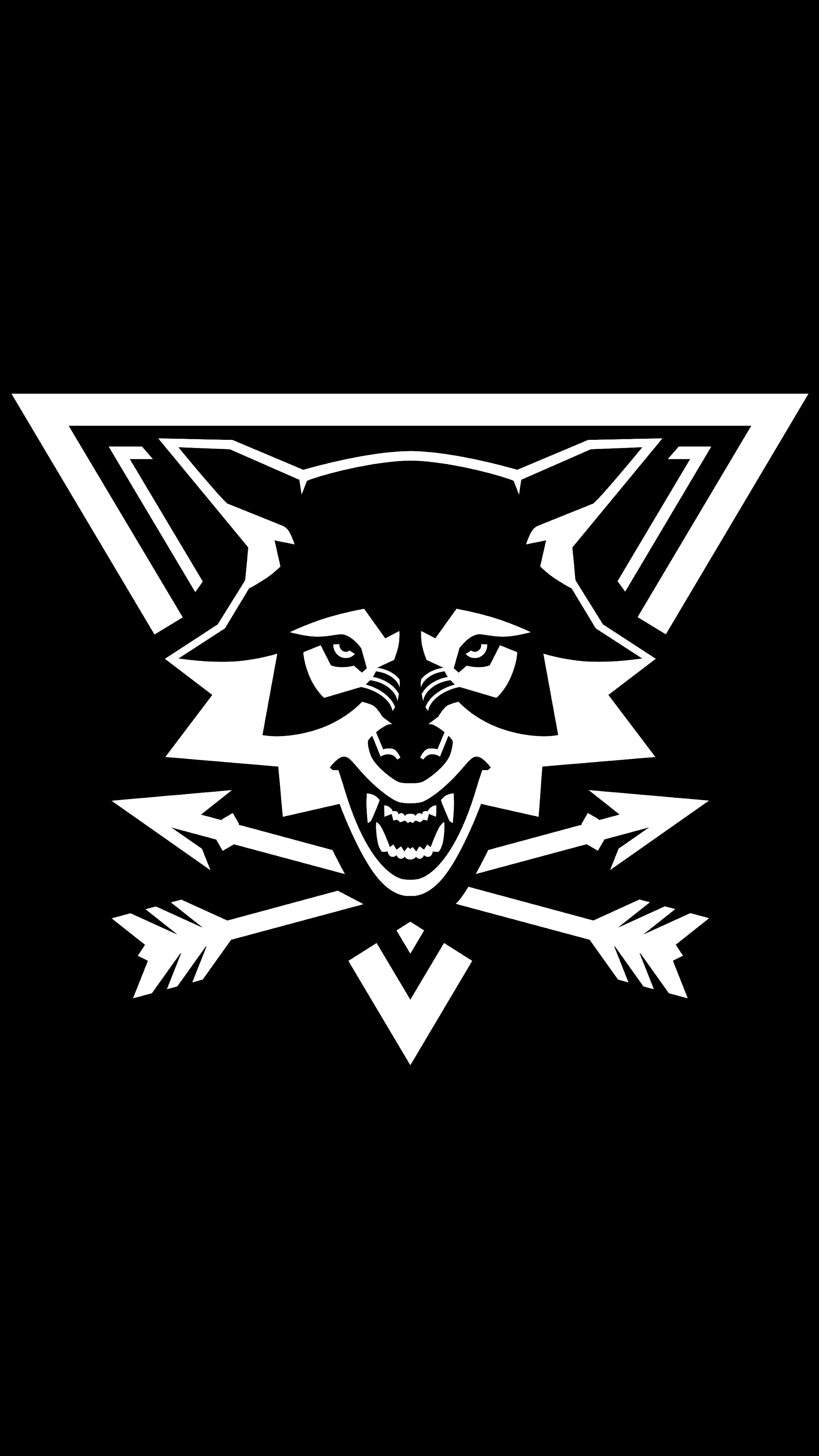 Raccoon head emblem, Crossed arrows, White triangle logo Raccoon head emblem, Crossed arrows, White triangle logo — 2160×3840 HD wallpaper