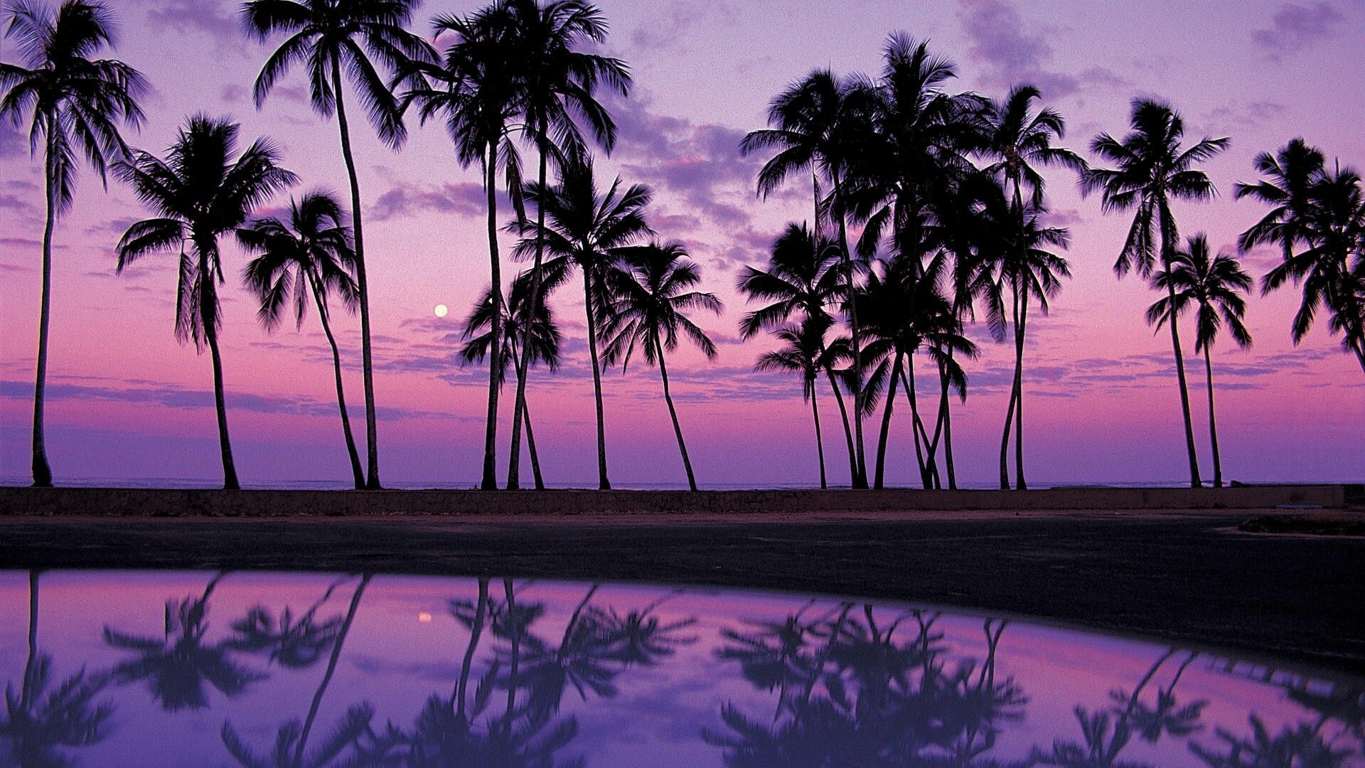 Silhouetted palm trees, Purple twilight sky, Moonlit lagoon reflection Silhouetted palm trees, Purple twilight sky, Moonlit lagoon reflection — 1920×1080 HD wallpaper