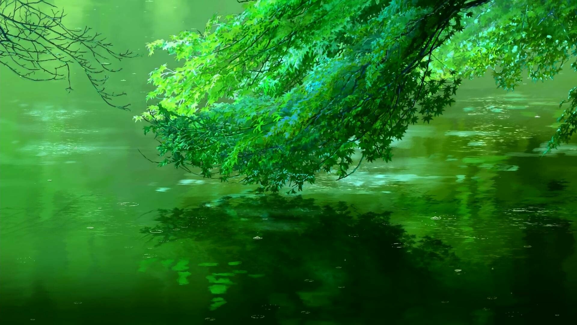 Overhanging branches, Pond reflection, Lush green foliage Overhanging branches, Pond reflection, Lush green foliage — 1920×1080 HD wallpaper