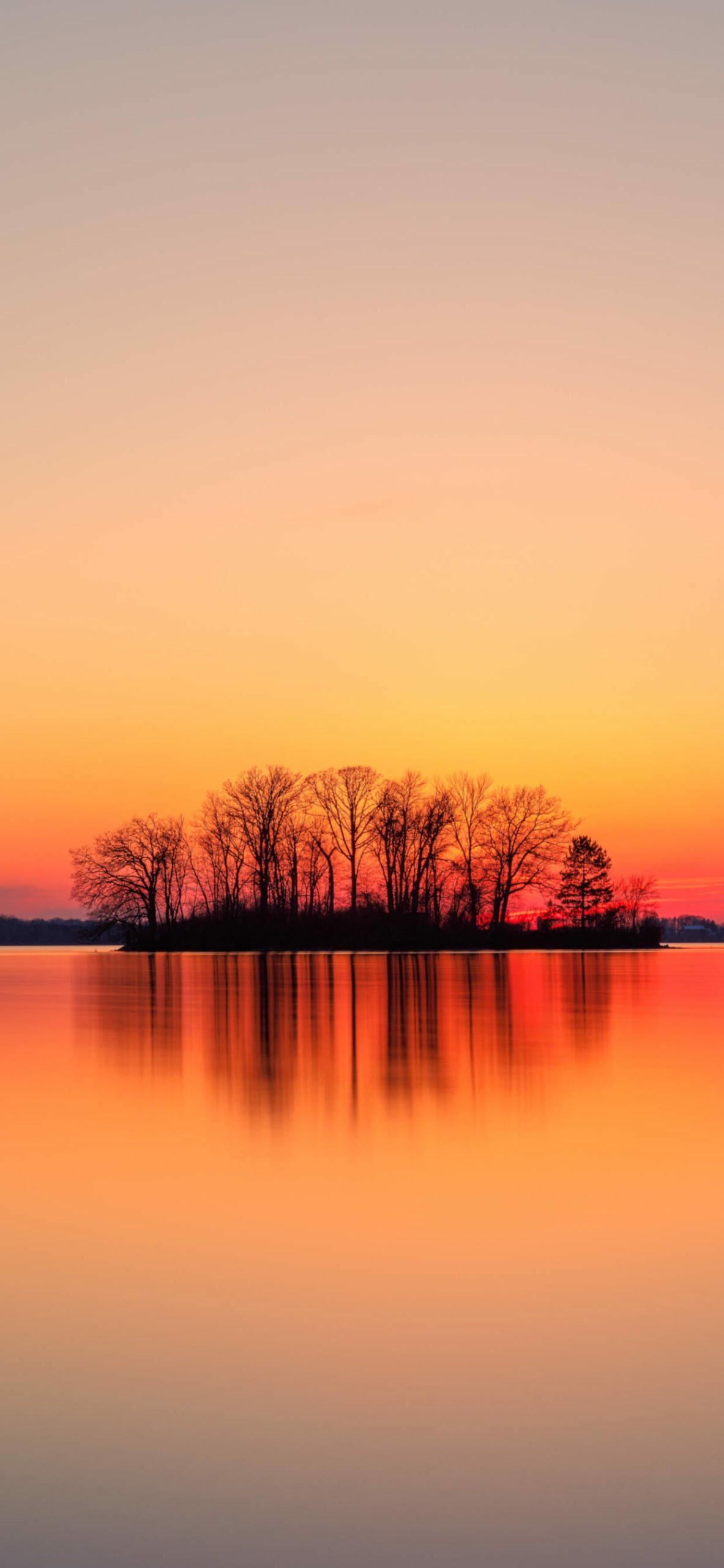 Silhouetted tree island, Calm lake mirror reflection, Orange pink sunset sky Silhouetted tree island, Calm lake mirror reflection, Orange pink sunset sky — 1183×2560 HD wallpaper