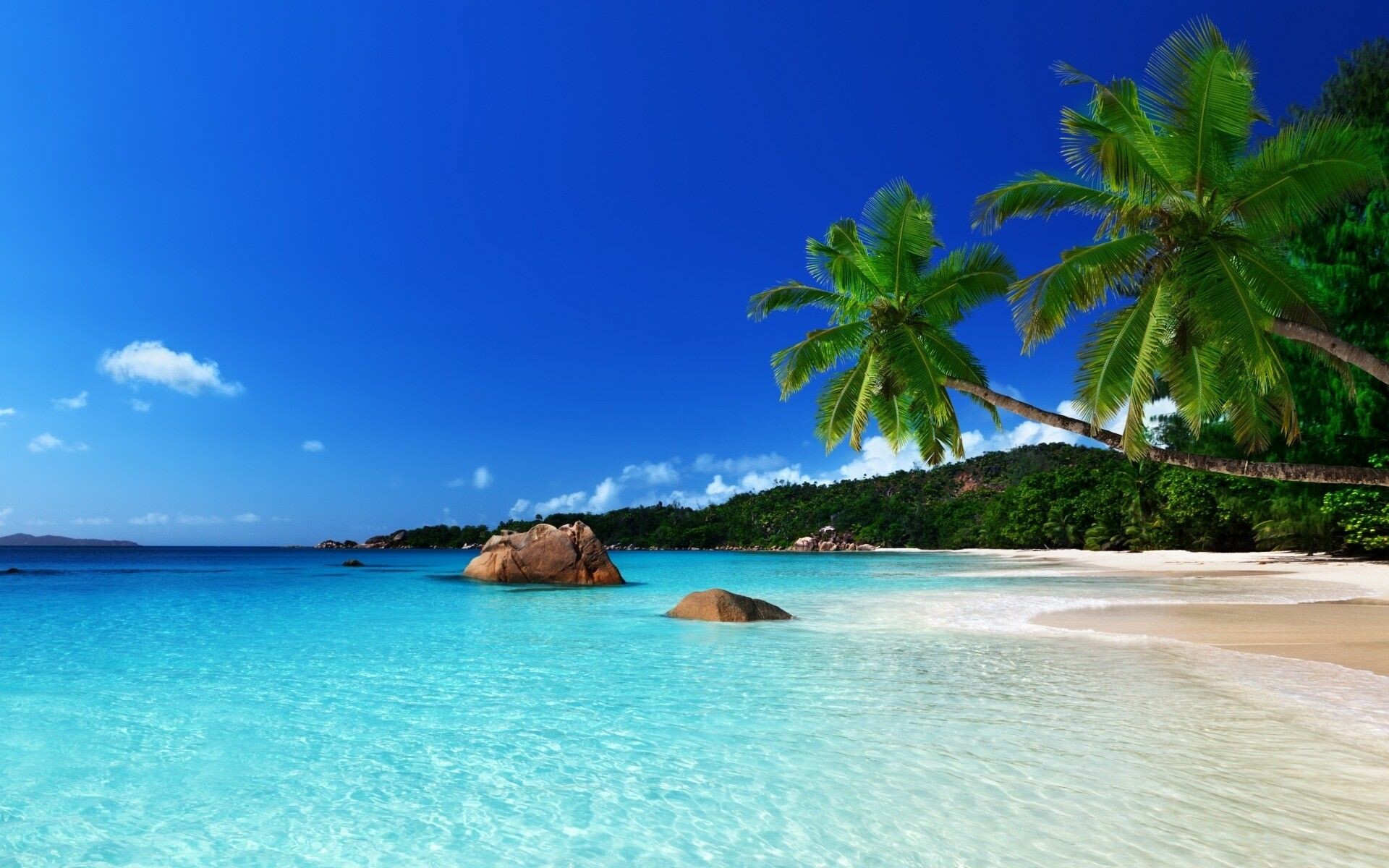 Leaning palm tree, Turquoise tropical lagoon, White sand beach Leaning palm tree, Turquoise tropical lagoon, White sand beach — 1920×1200 HD wallpaper