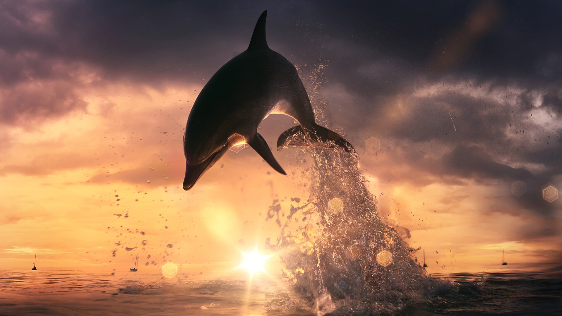 Leaping bottlenose dolphin, Sunset ocean horizon, Water splash silhouette Leaping bottlenose dolphin, Sunset ocean horizon, Water splash silhouette — 1920×1080 HD wallpaper