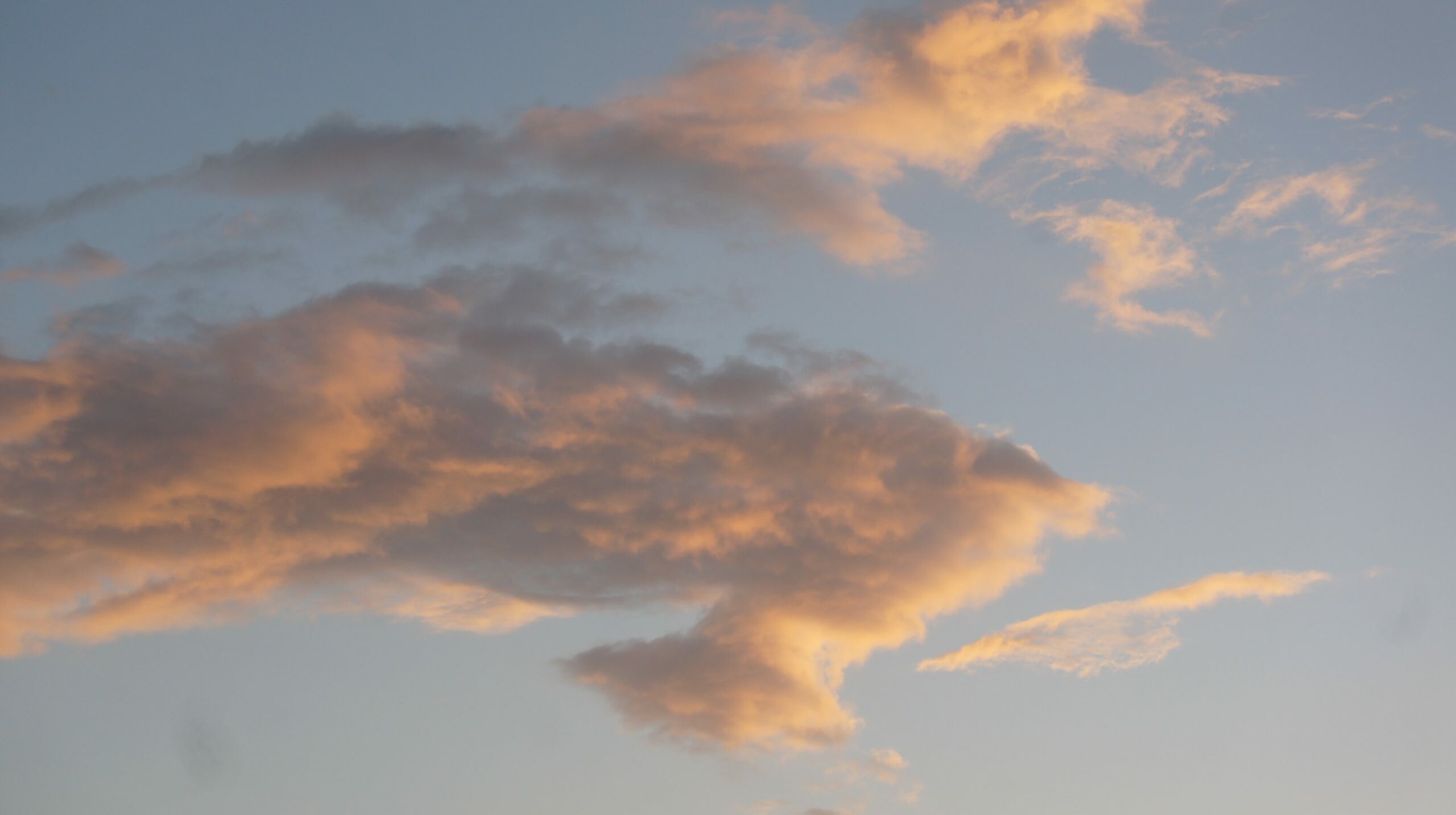 Sunset-lit cumulus clouds, Pale blue evening sky, Golden orange cloud edges Sunset-lit cumulus clouds, Pale blue evening sky, Golden orange cloud edges — 2560×1433 HD wallpaper