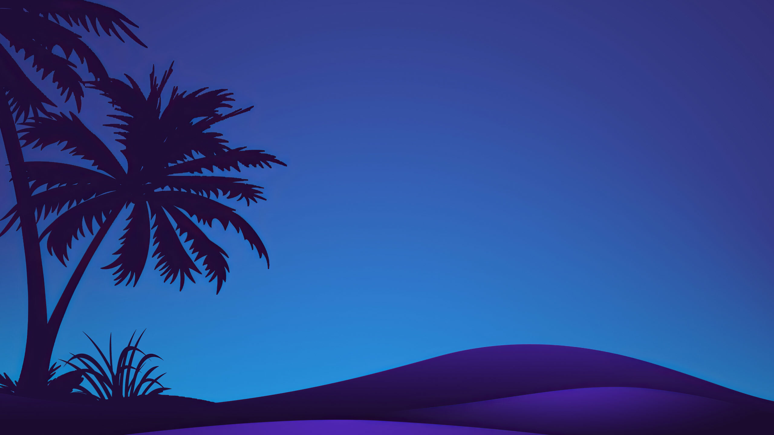 Palm tree silhouette, Purple sand dunes, Twilight blue sky Palm tree silhouette, Purple sand dunes, Twilight blue sky — 2560×1440 HD wallpaper