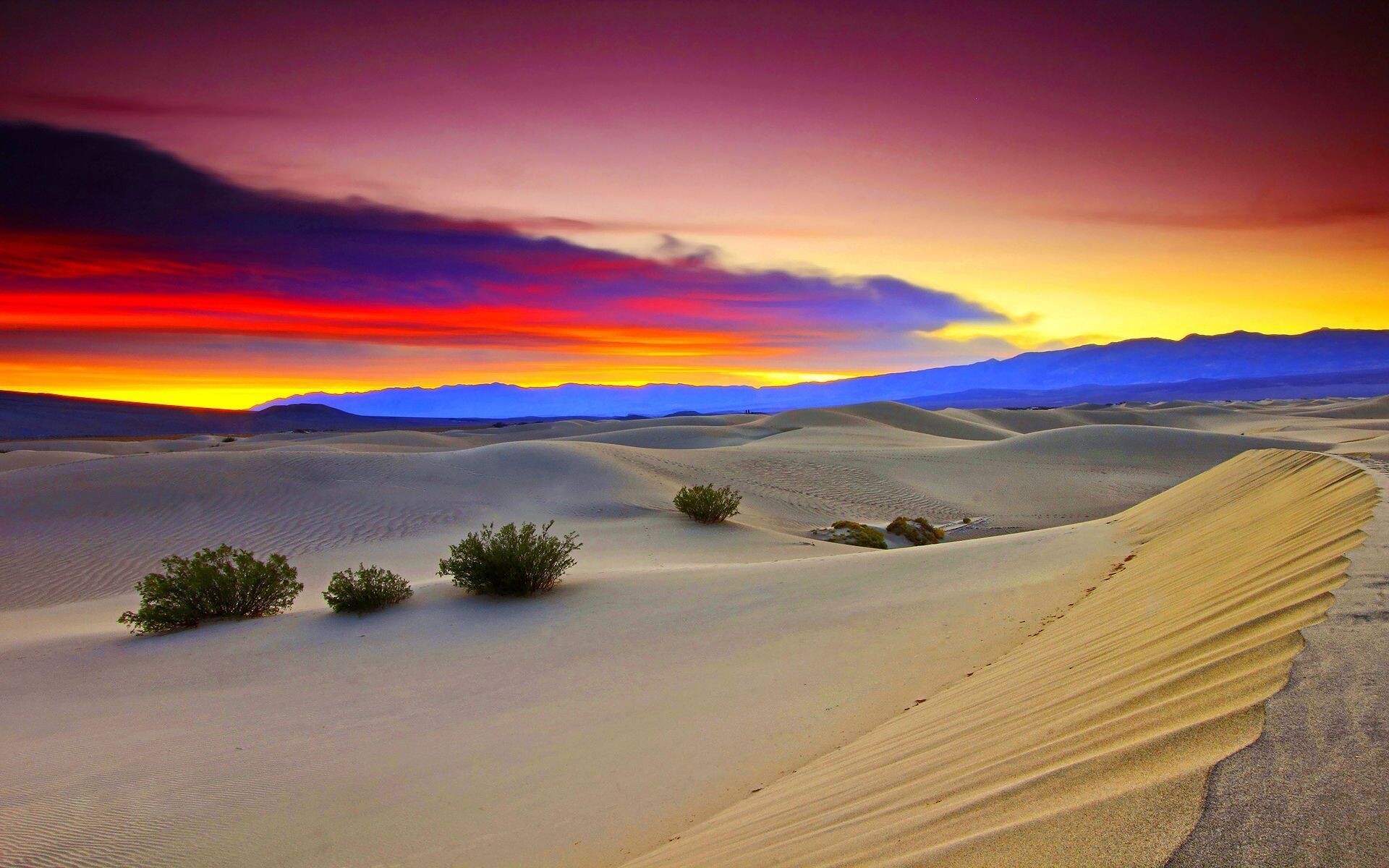 Rolling sand dunes, Desert shrubs, Fiery sunset sky Rolling sand dunes, Desert shrubs, Fiery sunset sky — 1920×1200 HD wallpaper