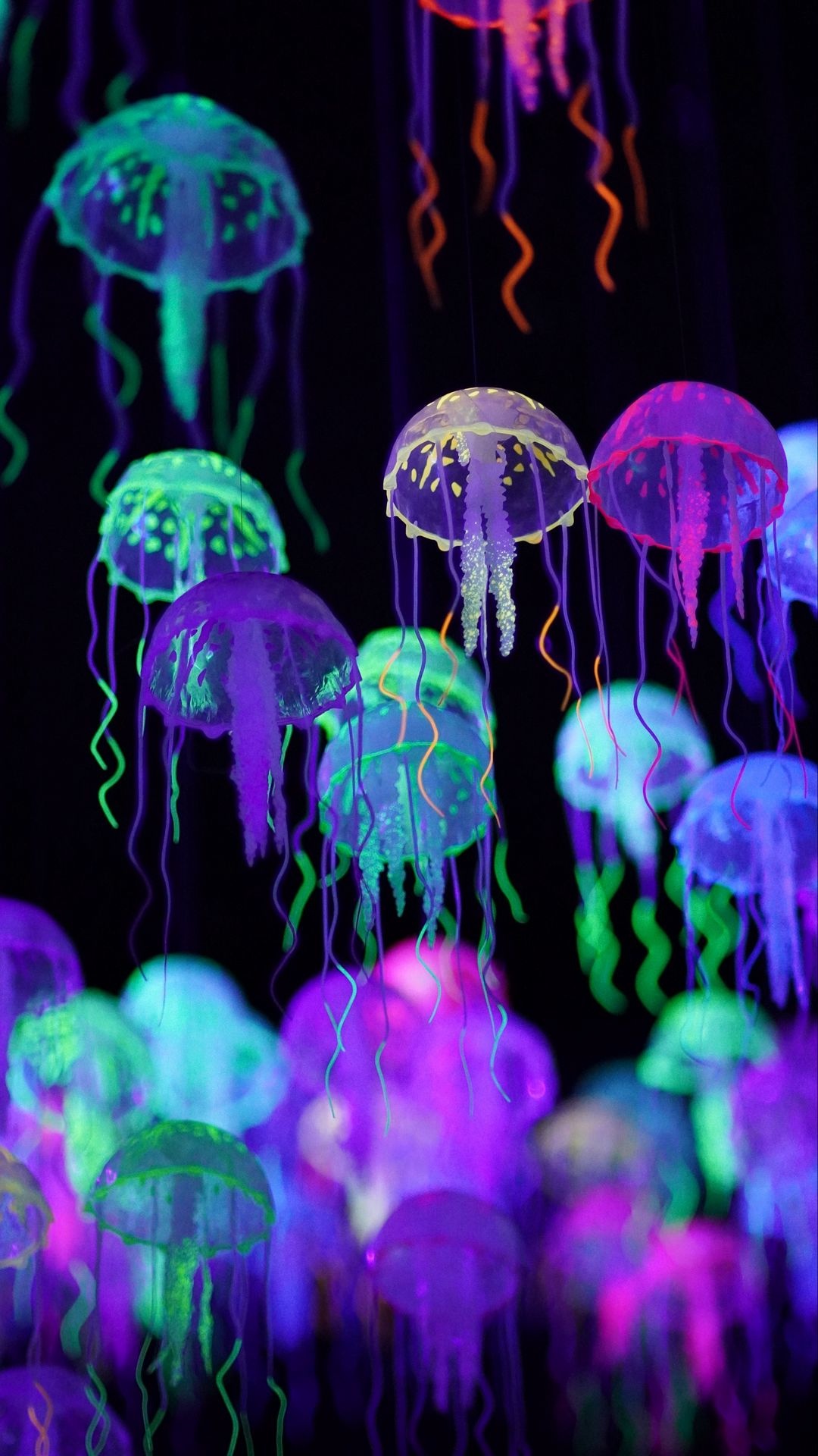 Neon, Jellyfish Wallpaper, Full HD Phone Neon, Jellyfish Wallpaper, Full HD Phone — 1080×1920 HD wallpaper