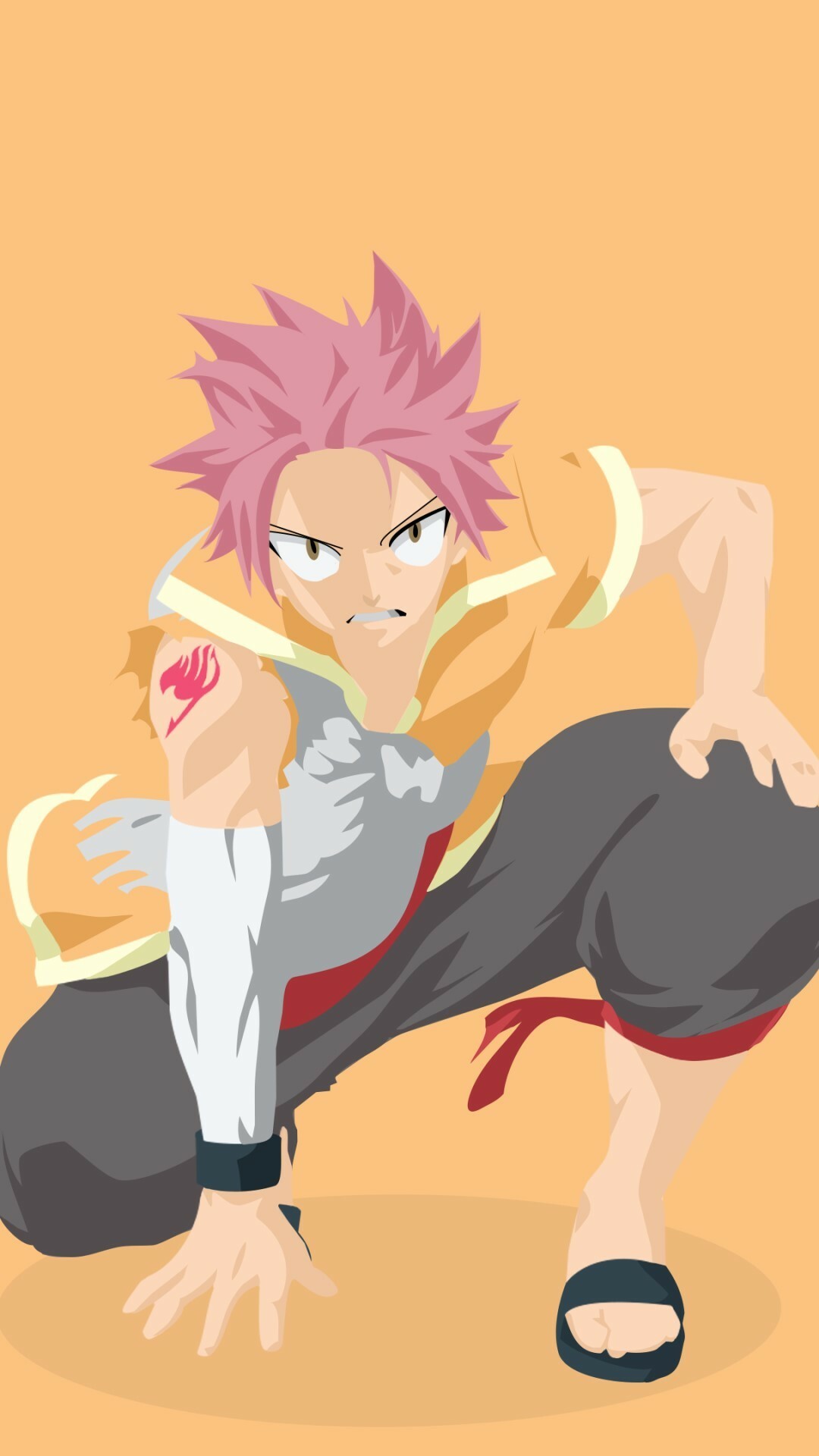Natsu Dragneel, Fairy Tail guild mark, Minimalist vector art Natsu Dragneel, Fairy Tail guild mark, Minimalist vector art — 1080×1920 HD wallpaper