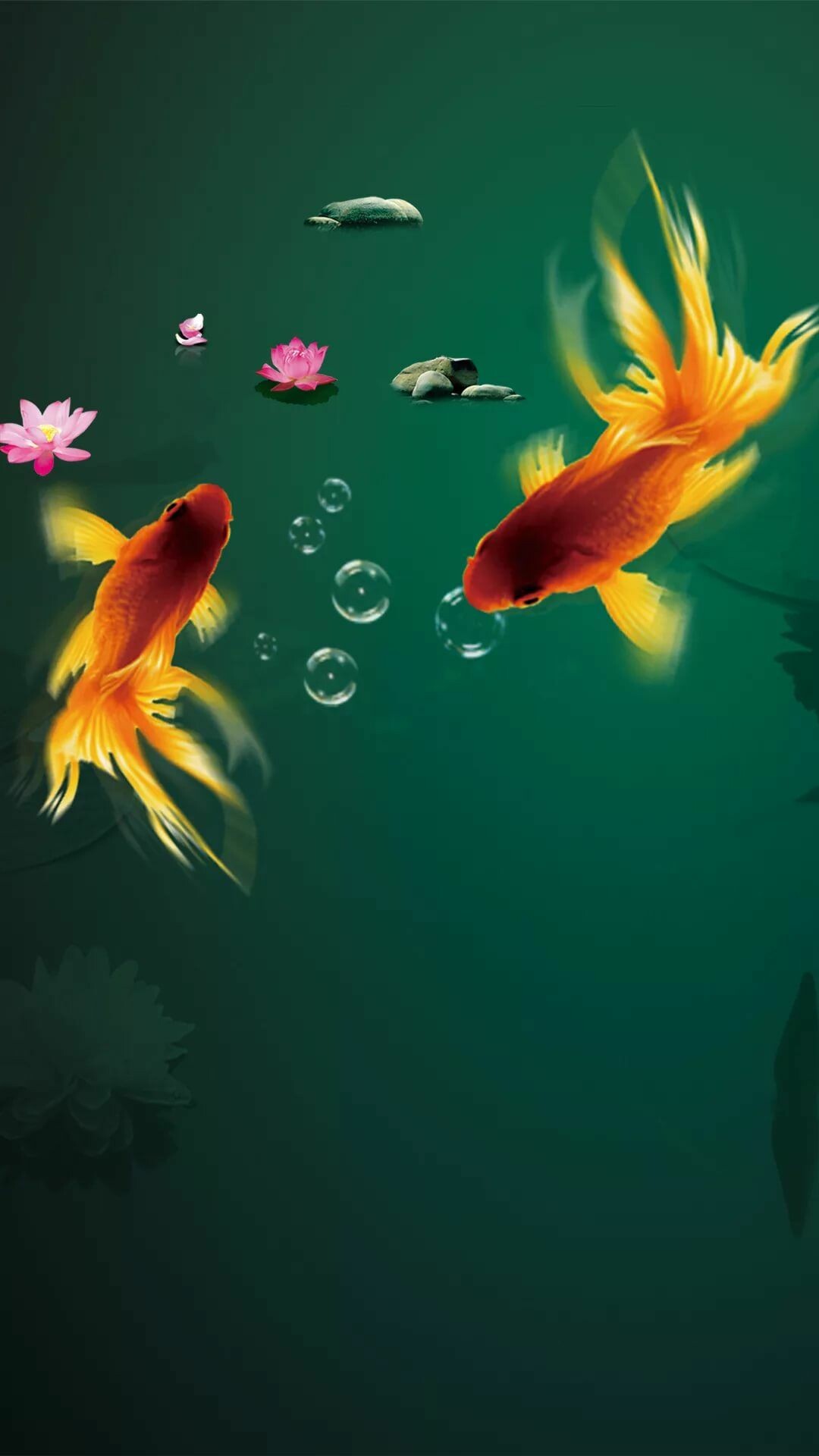 Two ornate goldfish, Pink lotus flowers, Air bubbles underwater Two ornate goldfish, Pink lotus flowers, Air bubbles underwater — 1080×1920 HD wallpaper