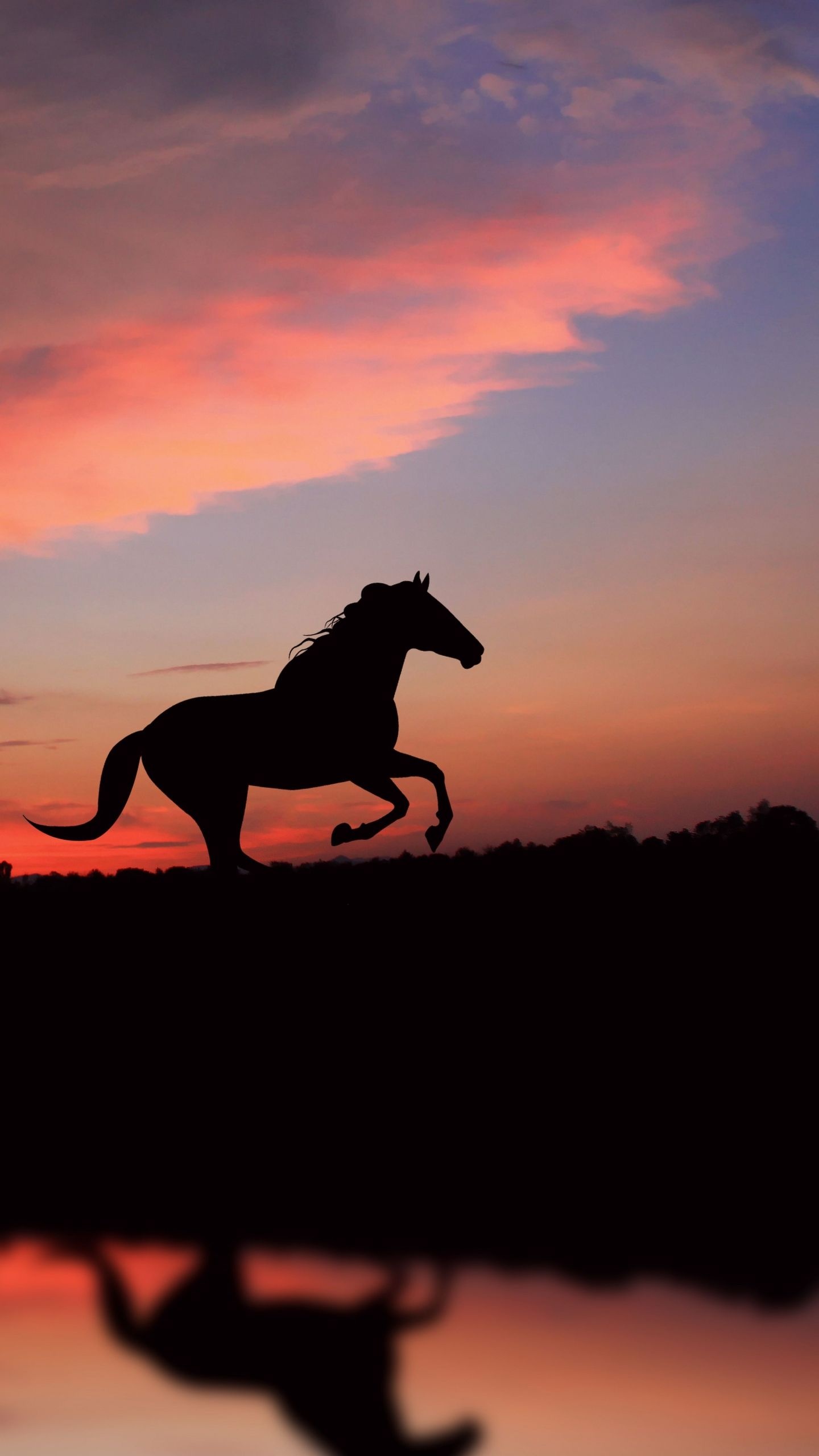 Galloping horse silhouette, Pink sunset sky, Water reflection Galloping horse silhouette, Pink sunset sky, Water reflection — 1440×2560 HD wallpaper