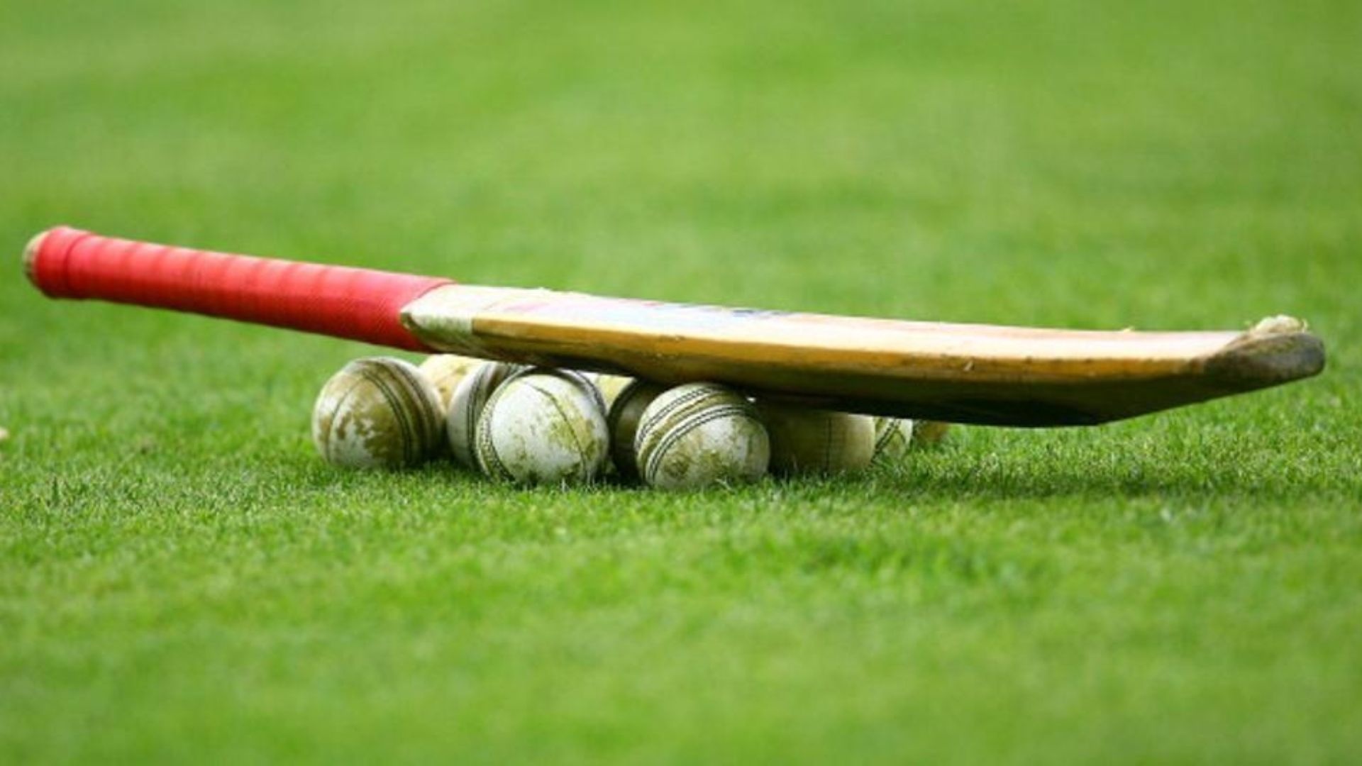 Willow cricket bat, Weathered leather balls, Green grass pitch Willow cricket bat, Weathered leather balls, Green grass pitch — 1920×1080 HD wallpaper